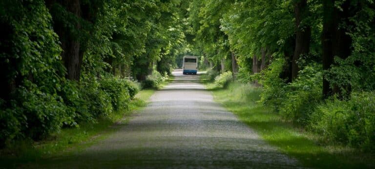 Land will Alleen in MV sichern und ausbauen