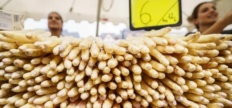 Preisanstieg beschert Spargelbauern durchwachsenes Jahr