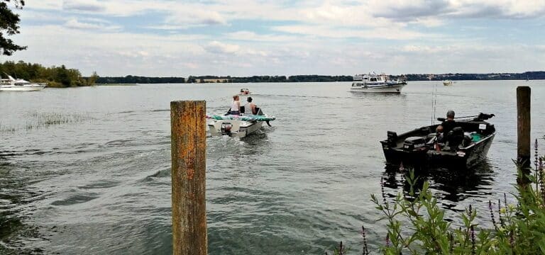 Landesamt macht auf Gefahren durch Vibrionen aufmerksam