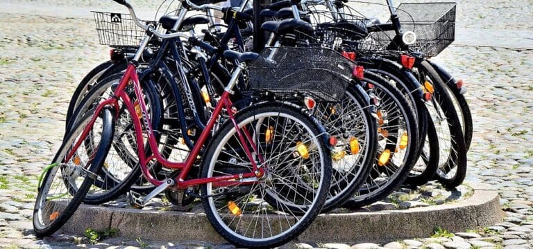 Verband: MV-Radtourismus bringt Milliardenumsatz