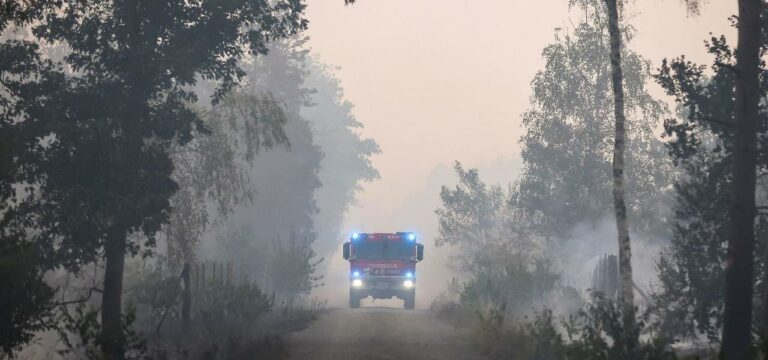 Neun Hektar Böschungs- und Waldbrand nahe Pampow