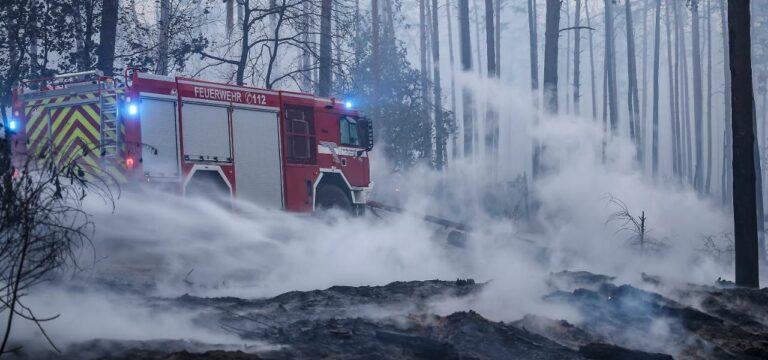 Waldbrandprävention und Feuer-Bekämpfung kosten Millionen
