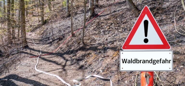 Kritische Waldbrandgefahr im Raum Wismar: Strikte Verbote in Kraft