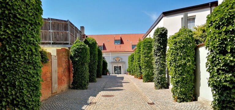 Kulturkongress und Kulturfest 2023 in Wismar