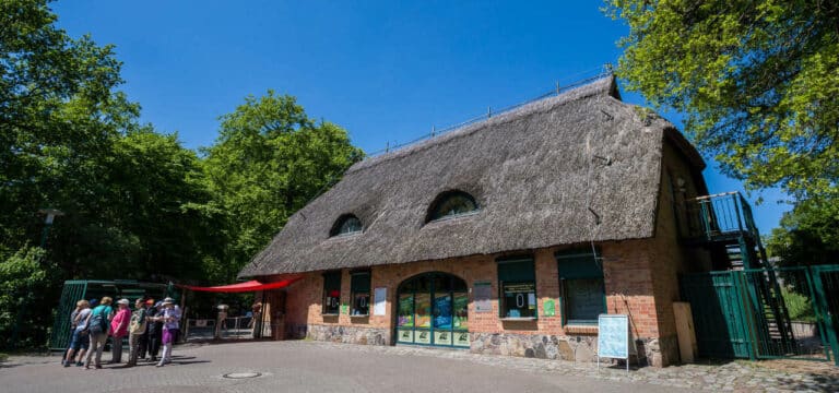 Zoo in Schwerin nach Vogelgrippe am Sonntag wieder geöffnet