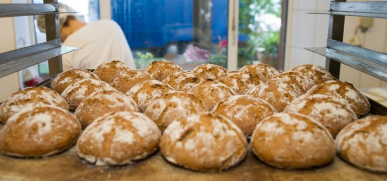Geschäftslage im Handwerk in Mecklenburg-Vorpommern stabil