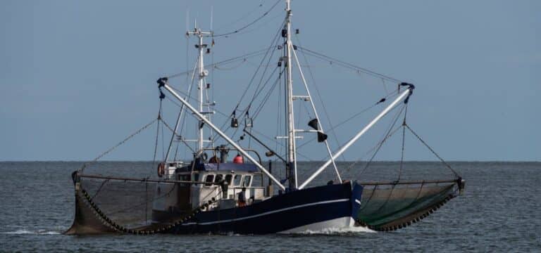 EU berät Fangquoten – kaum Hoffnung für Ostsee-Fischer