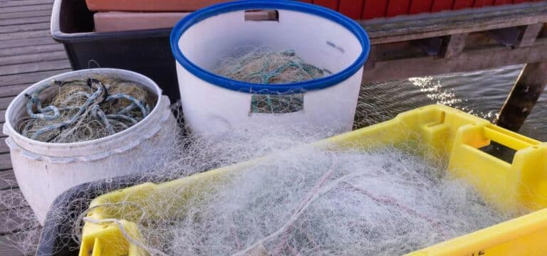 Experte: Festlegung von Fischfangmengen seit Krieg erschwert
