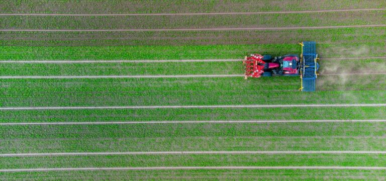 Moorschützer kritisieren Vergabe von EU-Agrarmitteln im Land