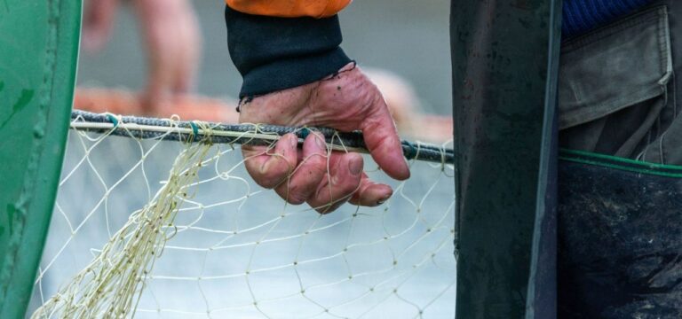 Ministerium sucht Strategien zum Fortbestand der Fischerei