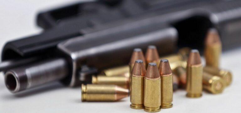 Pegel: Sicherheit wiegt schwerer als Recht auf Waffenbesitz