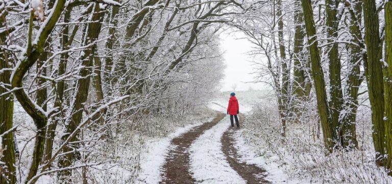 Glätte und Schnee in Mecklenburg-Vorpommern erwartet