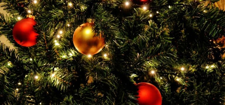 Tradition im Wandel der Zeit: Deutsche stellen Weihnachtsbäume immer früher auf