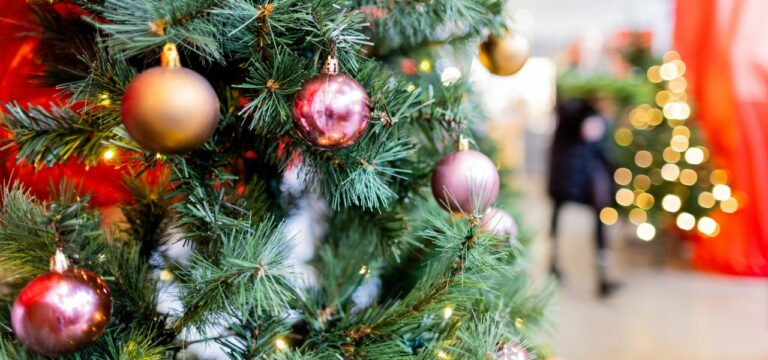 Aus Plastik, echt, Bio, im Topf: Welcher Weihnachtsbaum ist am umweltfreundlichsten?