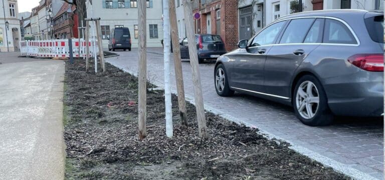 Wismar: Hundekot schädigt Pflanzen in der Claus-Jesup-Straße