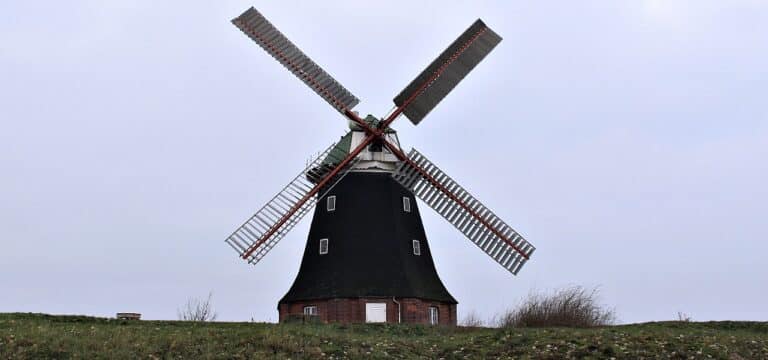 Deutscher Mühlentag: Historische Technik und lebendige Tradition in Nordwestmecklenburg