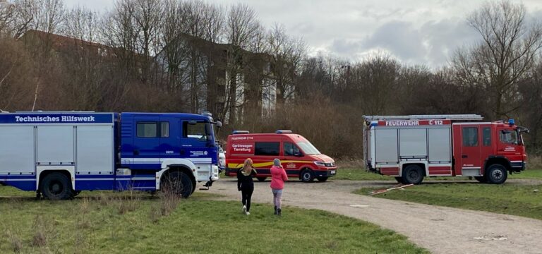 Wismar: Feuerwehreinsatz – Hund im Kanalrohr gefangen