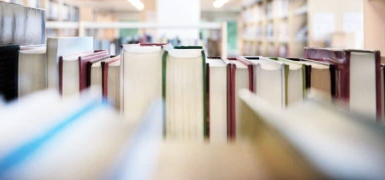 Bibliothekssterben: Verband fordert Politik zum Handeln auf