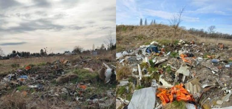 Wismar: Illegal entsorgter Müll sorgt am „Hohen Damm“ für Ärger