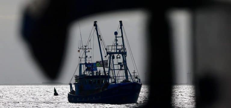 „Förster der Meere“ wegen kleinerer Fangquoten