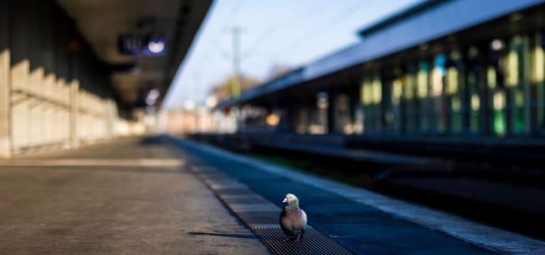 Warnstreik lässt auch in Mecklenburg-Vorpommern Züge stillstehen