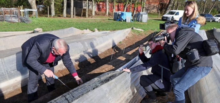 Rostock: Spargelsaison in MV jetzt offiziell eröffnet