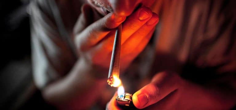 Teilweise Legalisierung geplant: Wie gefährlich ist Cannabis wirklich?