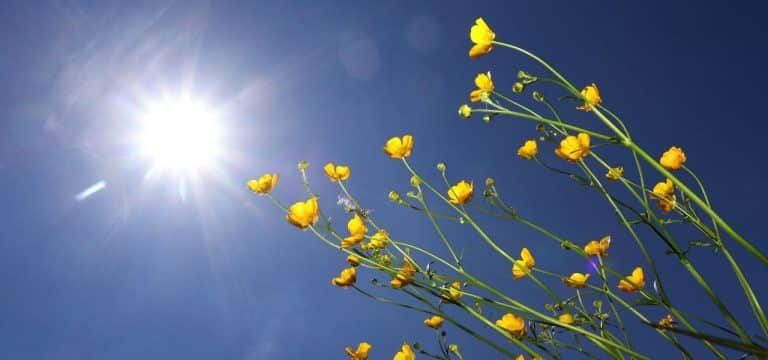 Gute Aussichten: Sonne am Pfingstwochenende in MV erwartet