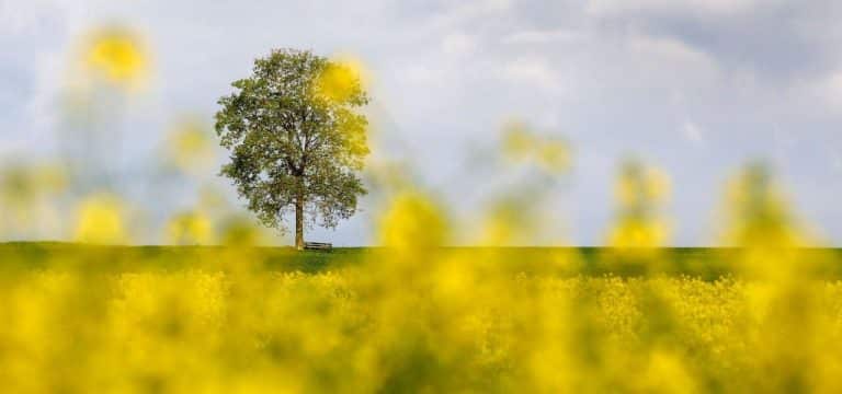 Freundliches Wetter am Feiertagswochenende in MV