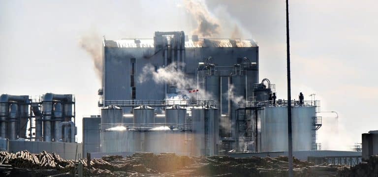 Wismar: Verpuffung in der OSB Anlage bei Holzunternehmer am Haffeld