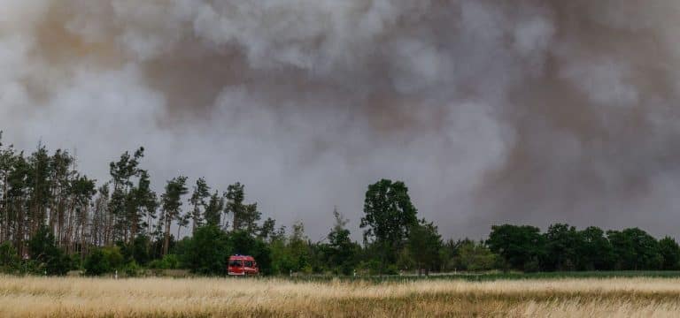 Zweithöchste Brandwarnstufe in großen Teilen von MV