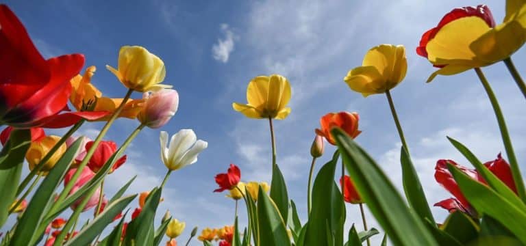 Sonniger erster Mai in Mecklenburg-Vorpommern