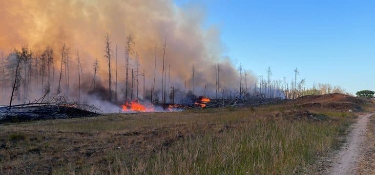 Waldbrand bei Hagenow auf zwölf Hektar angewachsen