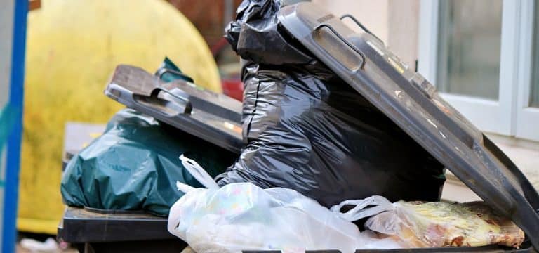 Wismar: Änderung von Abfuhrtagen für die Abfallentsorgung