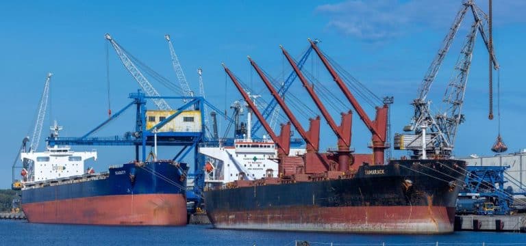 Rostocker Überseehafen vermeldet Umschlagsrekord