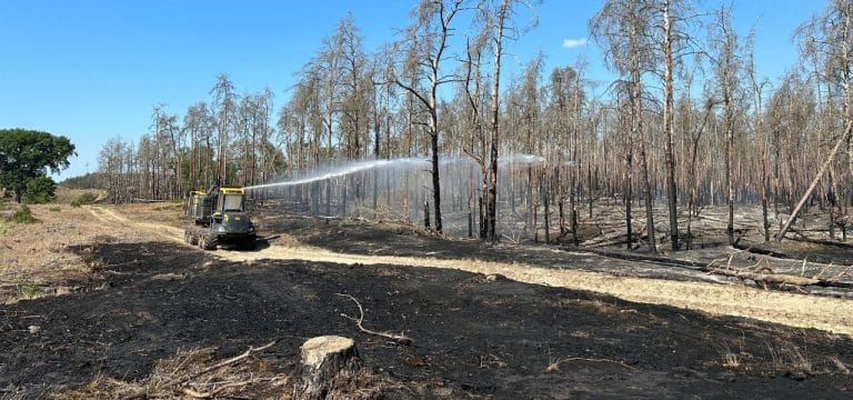 Waldbrände erfolgreich bekämpft und Regen in Sicht