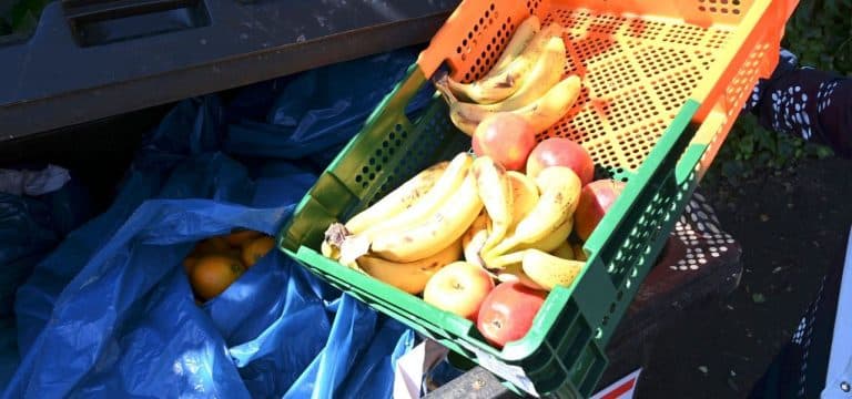 Lebensmittelverschwendung: Bernhardt fordert mehr Aufklärung