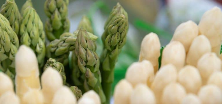 Gemischte Bilanz zum Ende der Spargelsaison