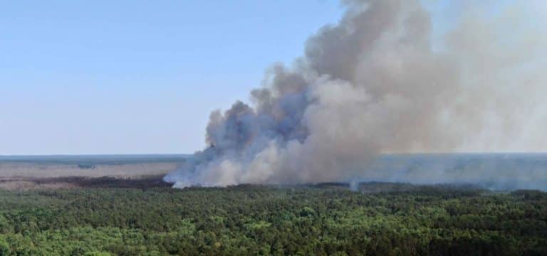 Brände auf zwei ehemaligen Truppenübungsplätzen in MV