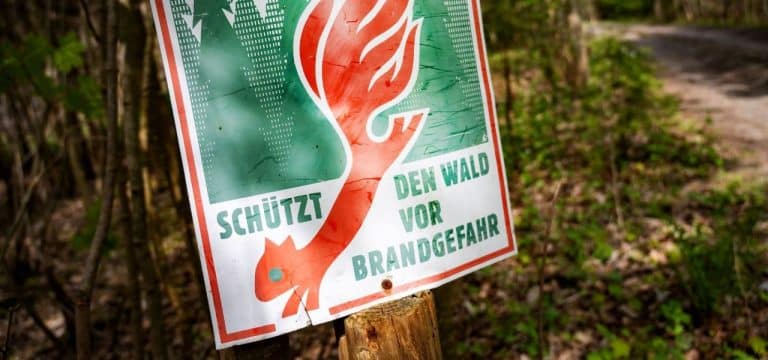 Waldbrandgefahr in Mecklenburg‑Vorpommern steigt weiter