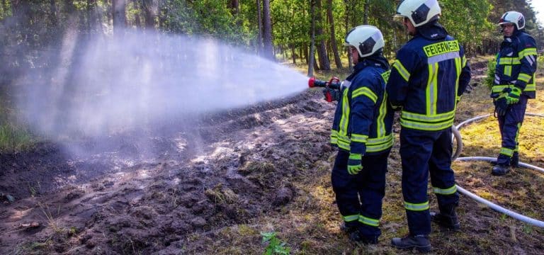 Erste Waldbrände in Mecklenburg-Vorpommern bei hochsommerlicher Hitze