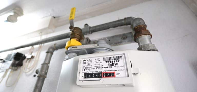 Kritik aus MV-Regierungslager an Plänen für Steuererhöhung