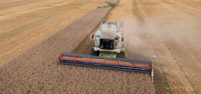 Nach Trockenheit: MV-Bauern mit erster Erntebilanz