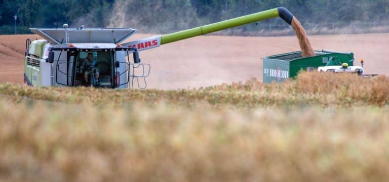 MV-Bauern: Nach Ende des Getreideabkommens höhere Preise