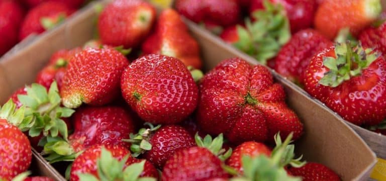 Erdbeeren im Test: Kaum Pflanzenschutzmittel-Rückstände