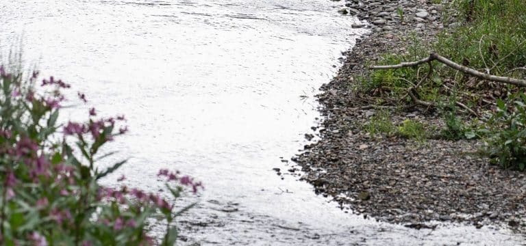 Niedrige Wasserstände auch in Seen und Flüssen in MV