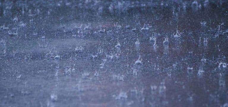 Regnerisches Wetter behindert Ernte im Nordosten