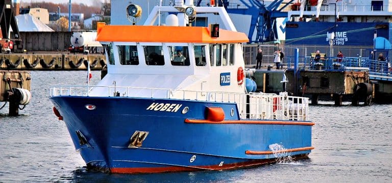 Buckelwal offenbar frei – Suche am Morgen ohne Ergebnis