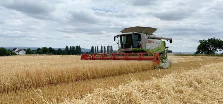 Rostock: Chirurg berichtet von heikler Not-Amputation auf Acker