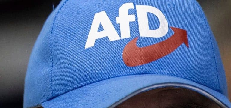 AfD mit Mitgliederzuwachs: Landespartei wählt Führung neu